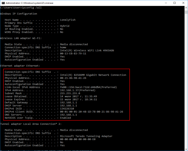 Отчет команды Ipconfig