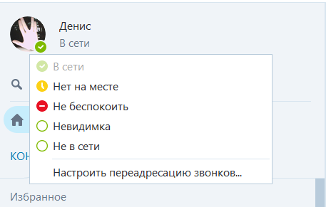 Режим работы Skype