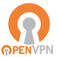 Приложение OpenVPN Connect
