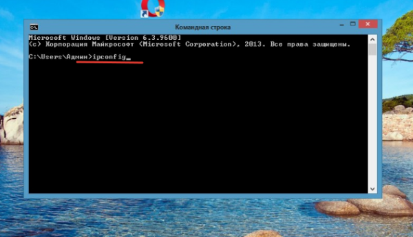 Введите ipconfig в 