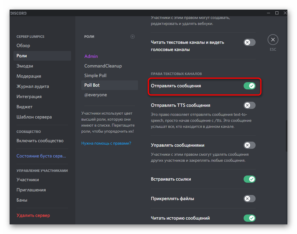 Управление другими правами бота при настройке его роли в Discord на компьютере