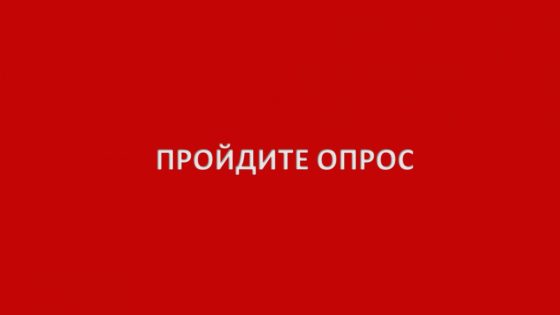 Проводить опросы