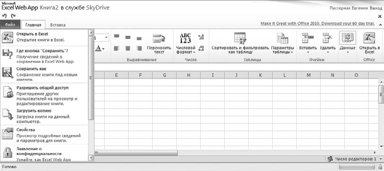 Рис. S2.4। Книга Excel на сайте.