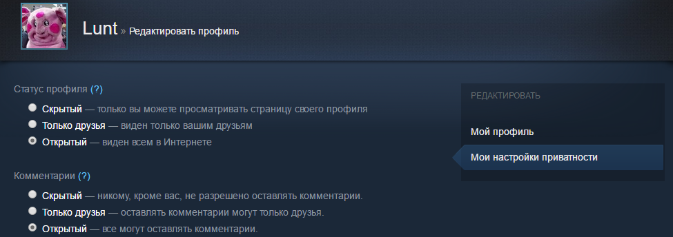 Изменение настроек биллинга профиля в профиле Steam