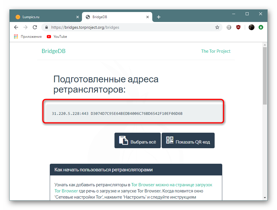 Копирование полученного моста с конкретного веб-сайта Tor Browser