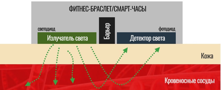 Принцип работы фитнес-браслета 