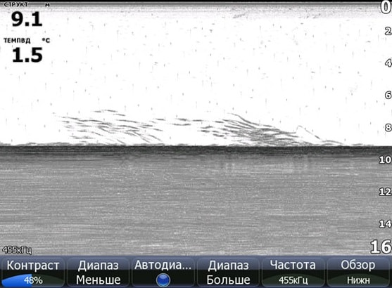 Косяк рыбы на экране эхолота